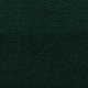 Verde muschio (RAL 6005)